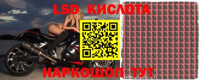 ПСИЛОЦИБИНОВЫЕ ГРИБЫ Тулун